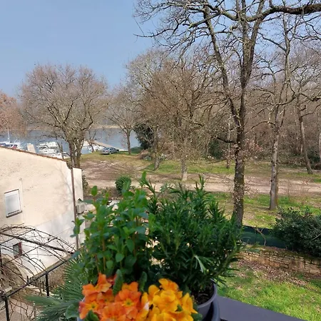 Gallery Apartamento Poreč
