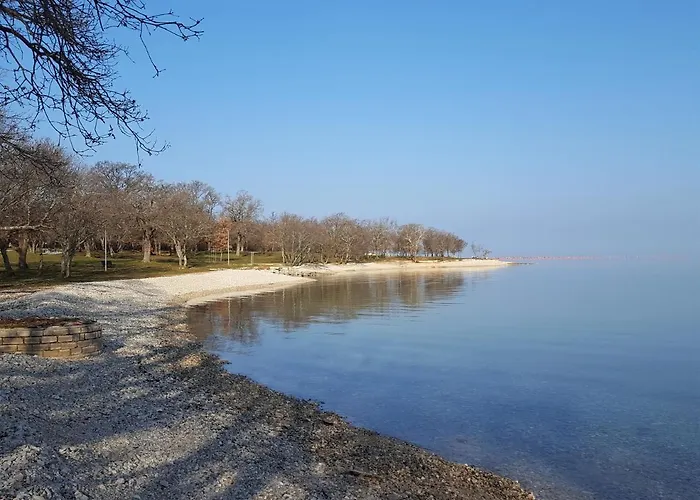 Gallery Apartament *