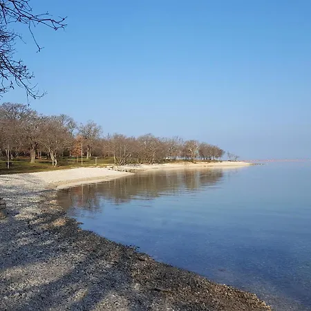 Gallery Apartament *